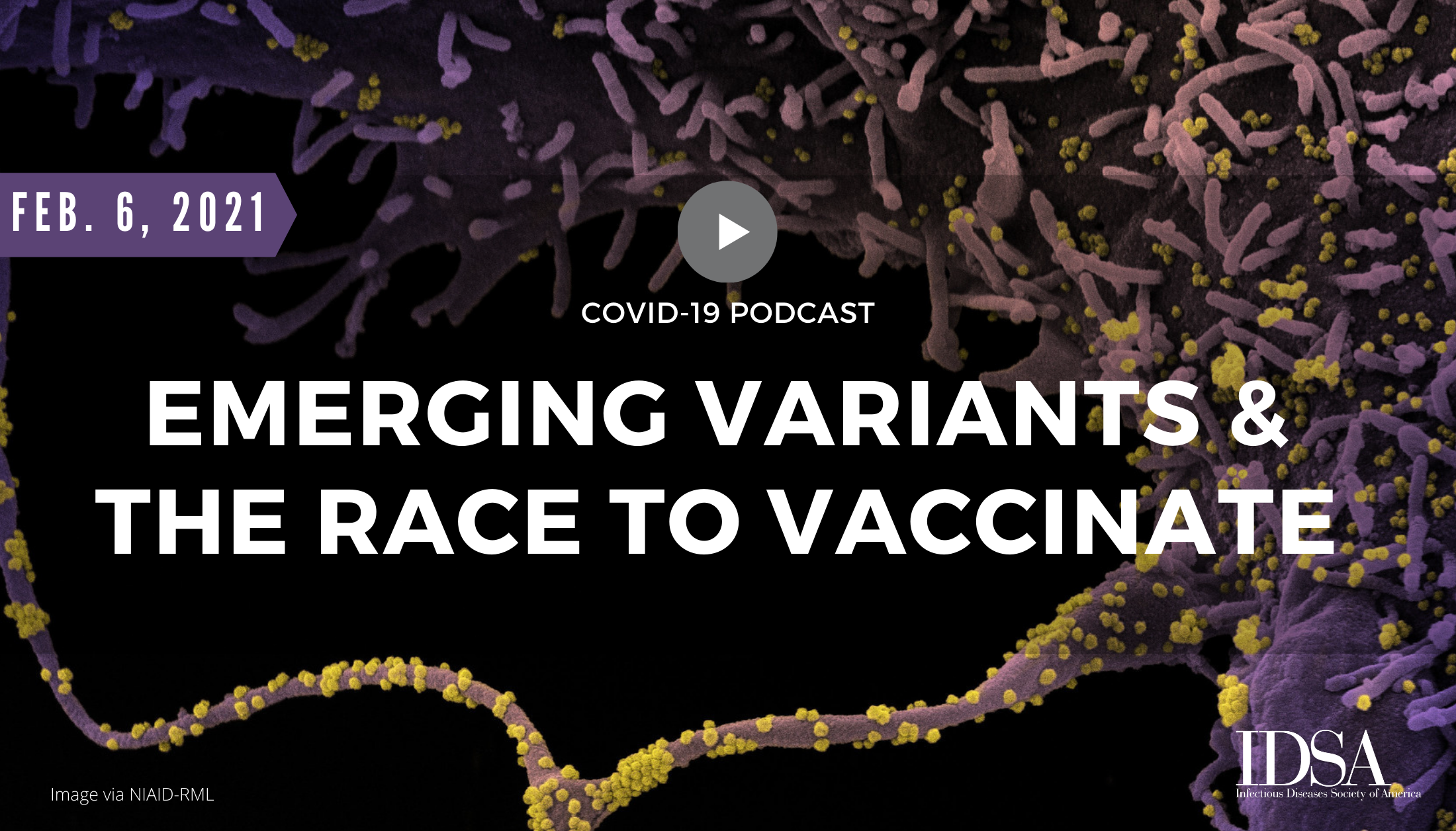 Emerging Variants and the Race to Vaccinate